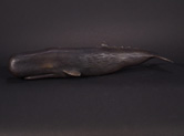 Whale Bank - Bronze Sculpture